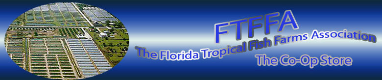 FTFFA LOGO